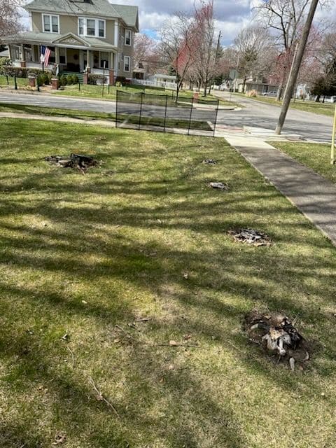 Stump Removal in Monticello image