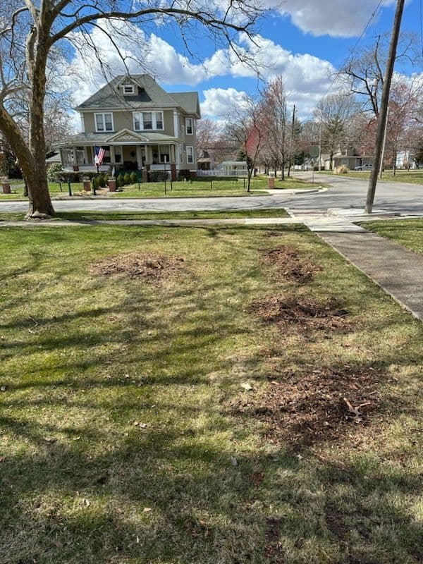 Gallery photos for Stump Removal in Monticello: Image #1