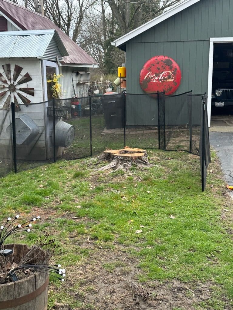 Tree Stump Removal in Farmer City image
