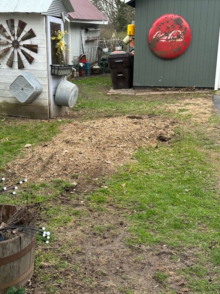 Gallery photos for Tree Stump Removal in Farmer City: Image #1