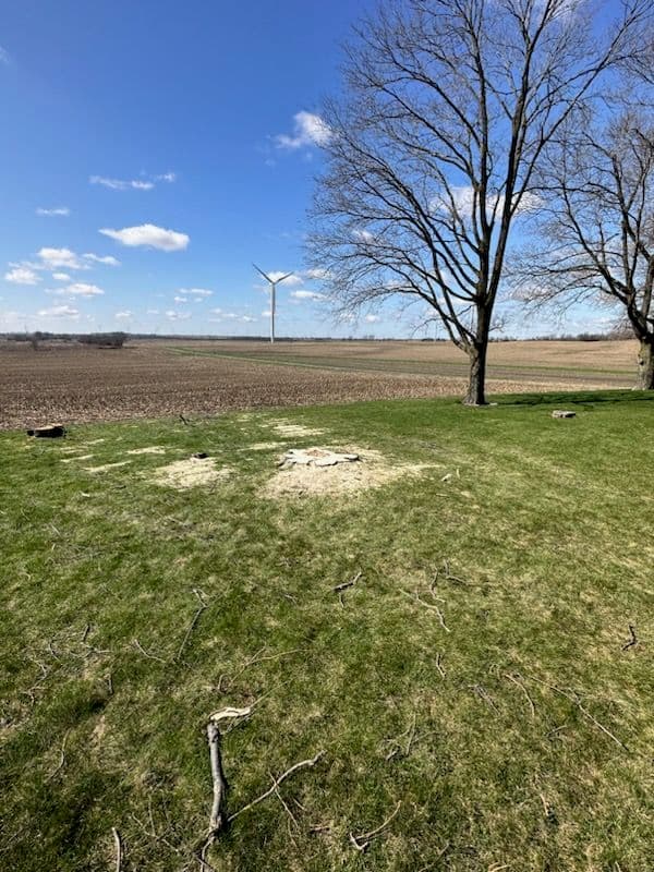 Stump Clearing for New Garage Preparation image