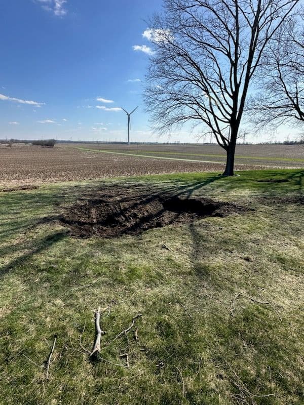 Gallery photos for Stump Clearing for New Garage Preparation: Image #1