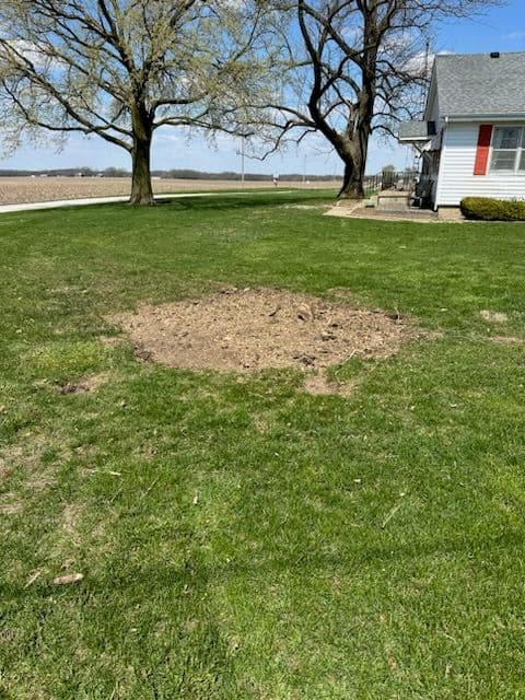 Gallery photos for Stump Solution for a Perfect Weldon Lawn: Image #1