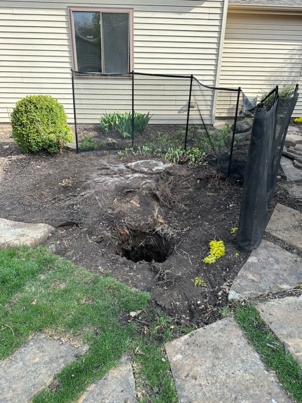 Effortless Stump Removal By Shelton Stump Removal image