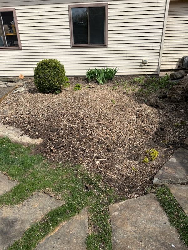 Gallery photos for Effortless Stump Removal By Shelton Stump Removal: Image #1