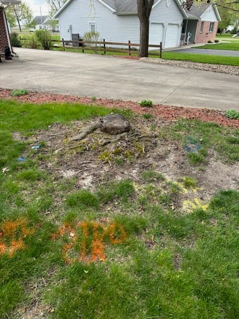 Gibson City Yard Transformation Expertise image