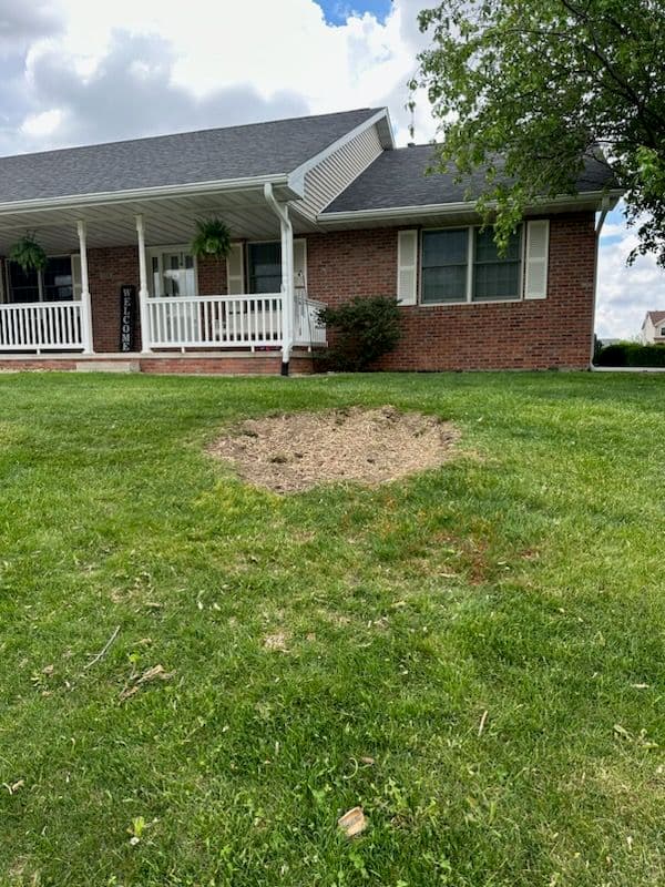 Gallery photos for Efficient Stump Removal in Leroy: Image #1