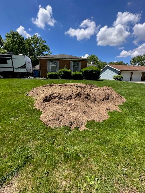 Gallery photos for Efficient Stump Grinding for a Pristine Mahomet Yard: Image #1