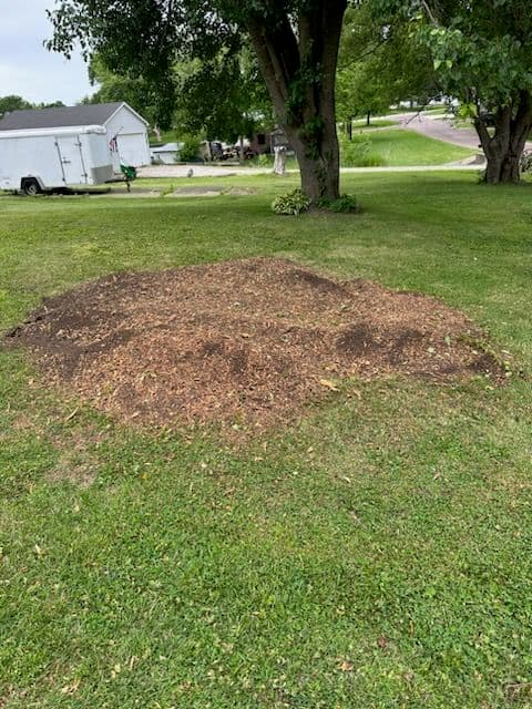 Gallery photos for Stubborn Stump Transformed into Lush Landscape: Image #1