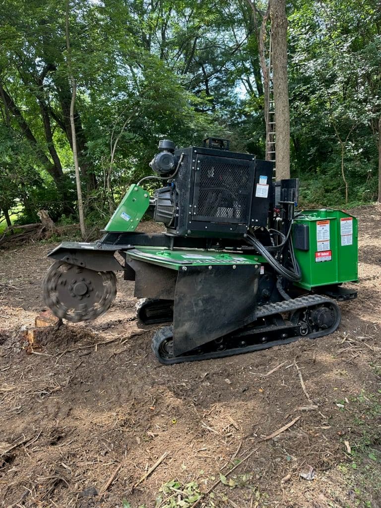 Efficient Stump Grinding in Lush Wooded Areas image