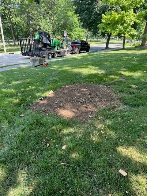 Gallery photos for Expert Stump Removal in Bloomington: Image #1