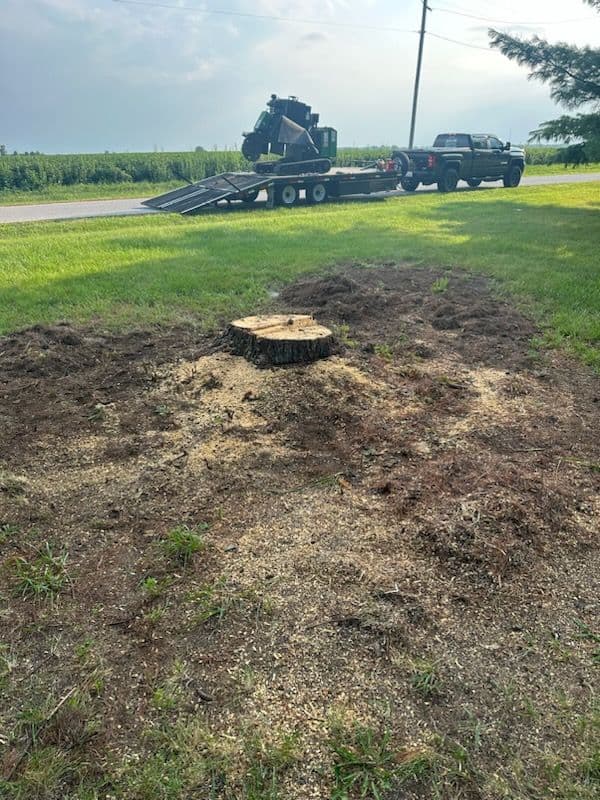 Stump Removal Transformation in Mahomet image