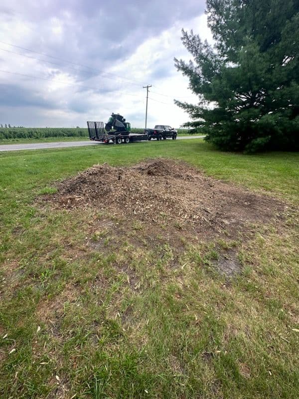 Gallery photos for Stump Removal Transformation in Mahomet: Image #1