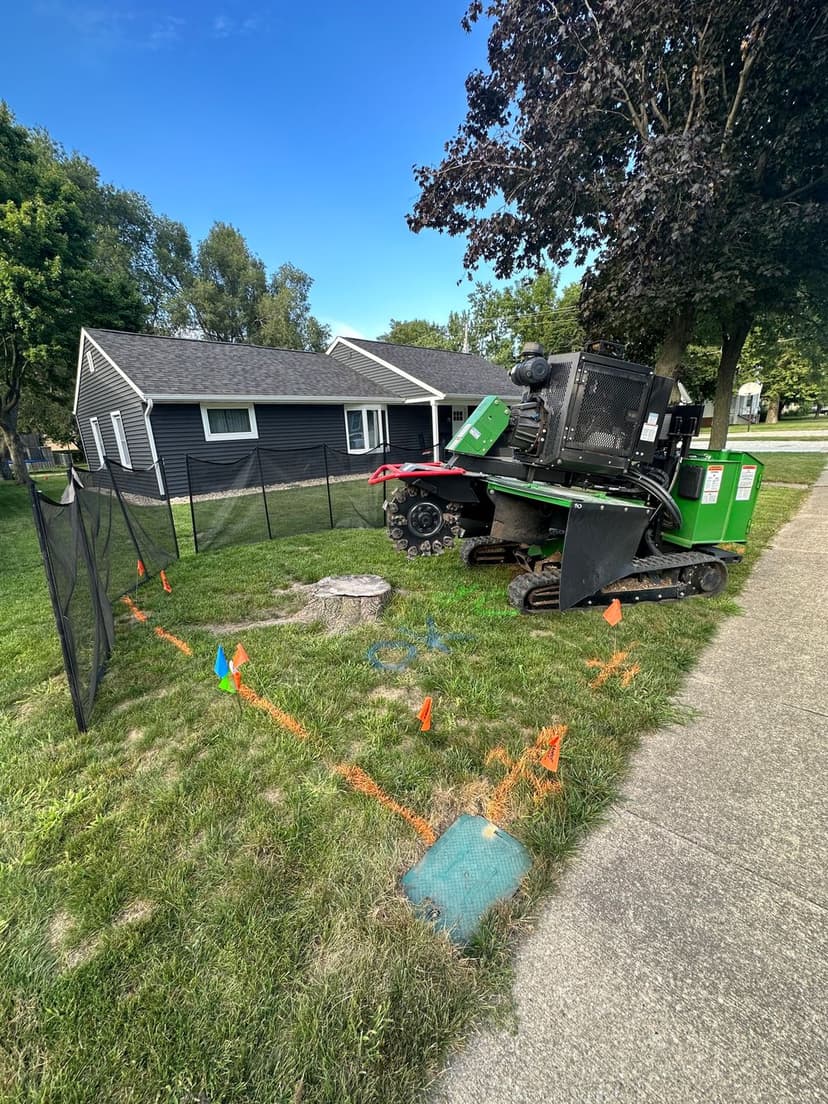 Stump grinder machine near a house, with safety fencing and flagged ground markers.
