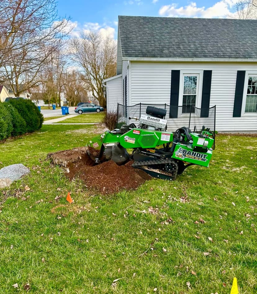 Bandit stump grinder in action, clearing a tree stump in a residential yard.
